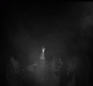 Sunn O))) : 2006.10.17, Crawdaddy, Dublin, Ireland